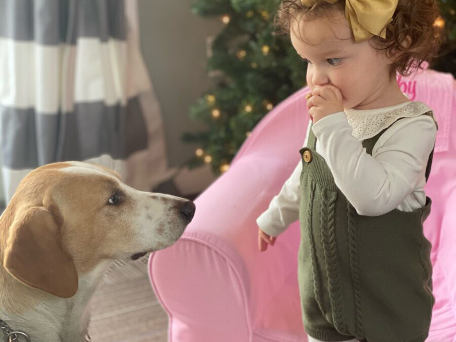 Building a Special Bond Between Children and Pets