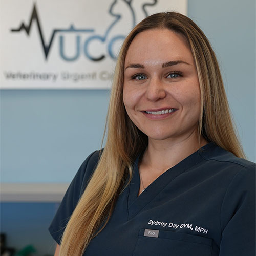 Kerri Papanicholas, DVM