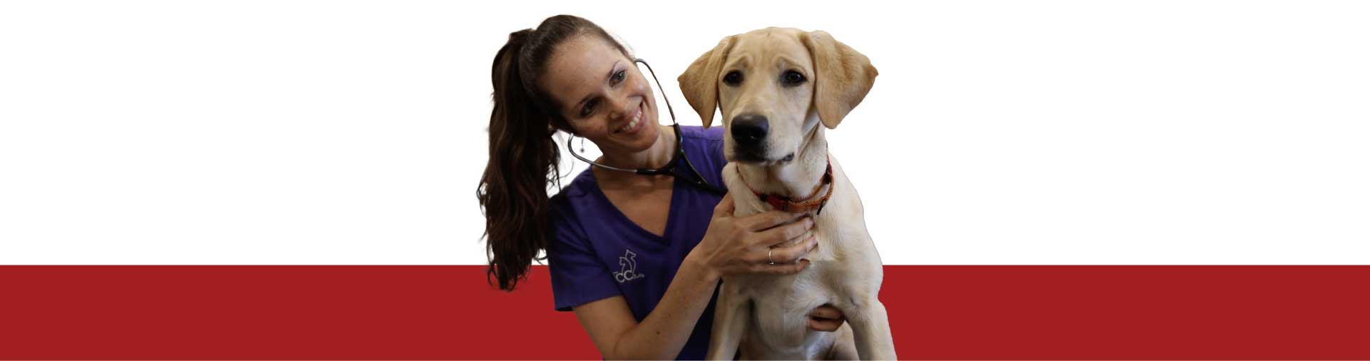 veterinary urgent care 