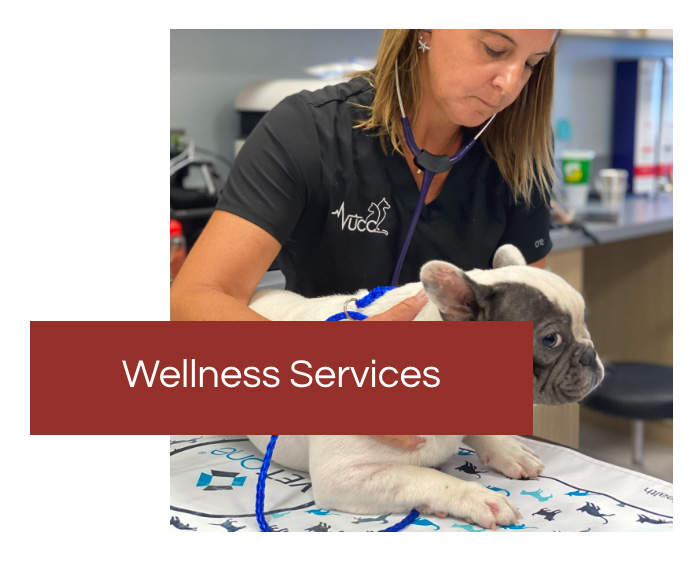 veterinary wellness services